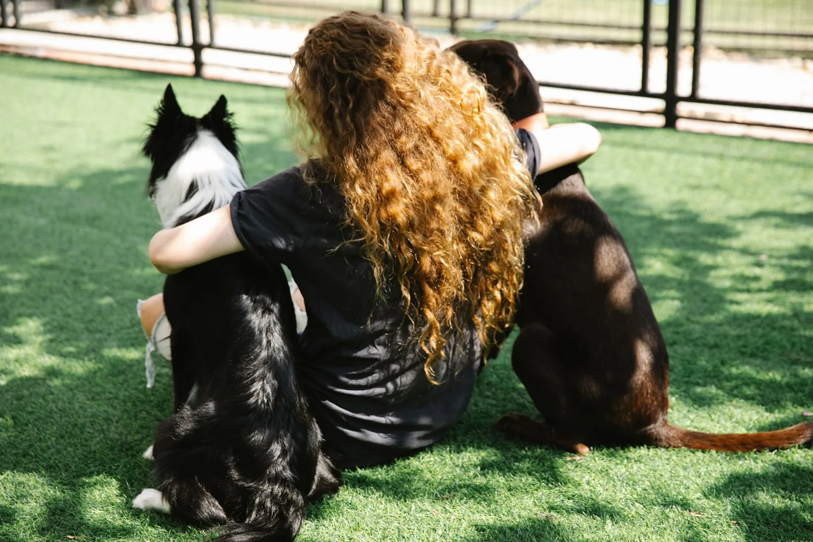 How to Tell If Your Dog Is Ready for Daycare